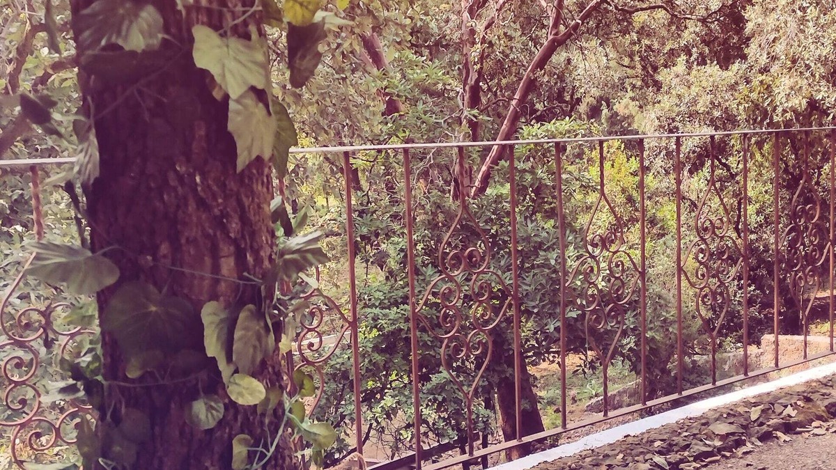 Santa Catarina Cabin | Las Casitas en Tepoz Desconéctate y Reconecta en Armonía