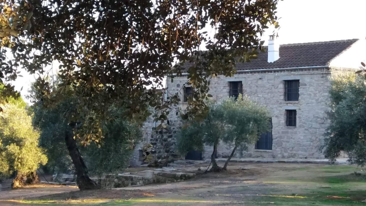 Andujar House | Las Olivas vineyard. Fully independent house located in Andujar.
