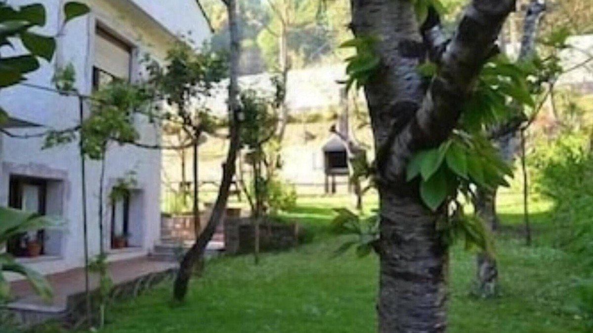 Cangas de Onis Apartment | las Palmeras