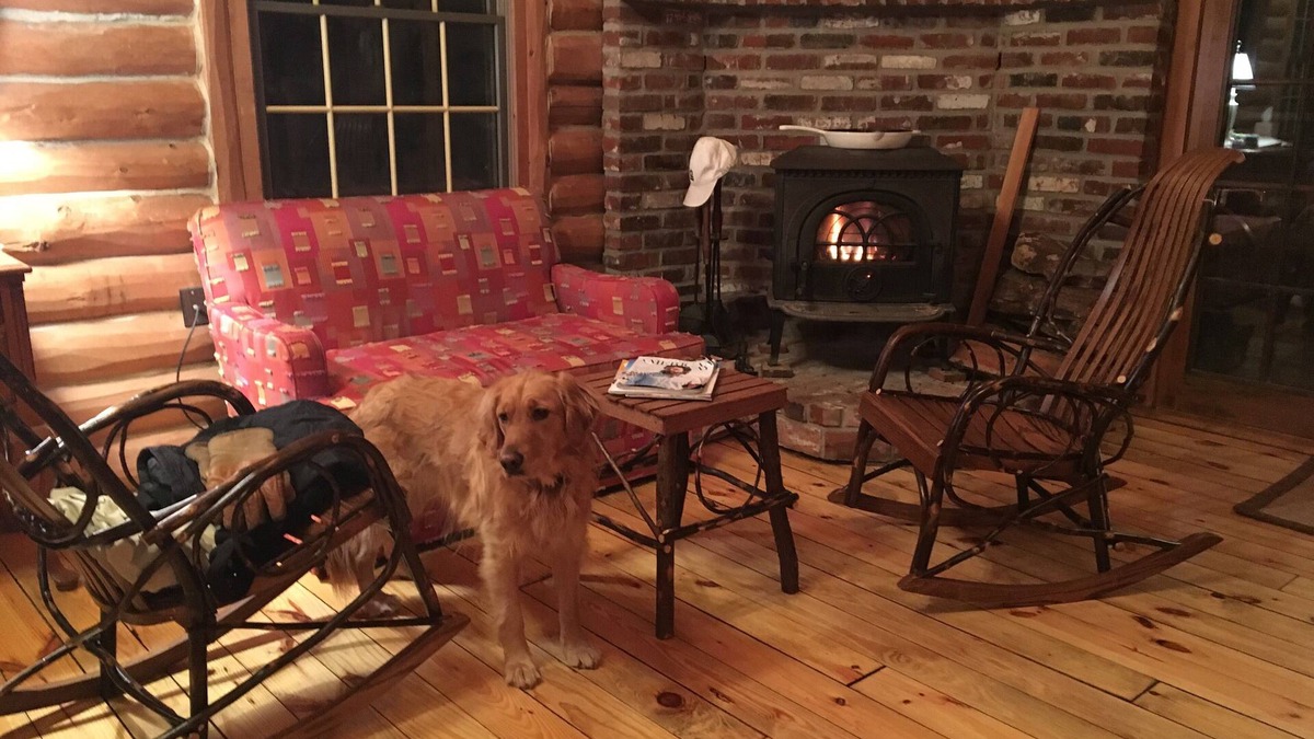 Eagles Mere Cabin | Last chance to catch fall foliage in historic Eagles Mere PA!