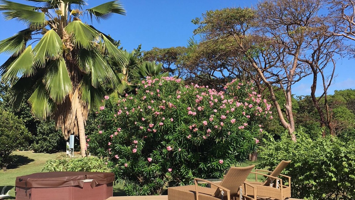 Lowlands Villa | LAST MINUTE AVAILABILITY! Villa/ Pool by Sea on Championship Golf Course