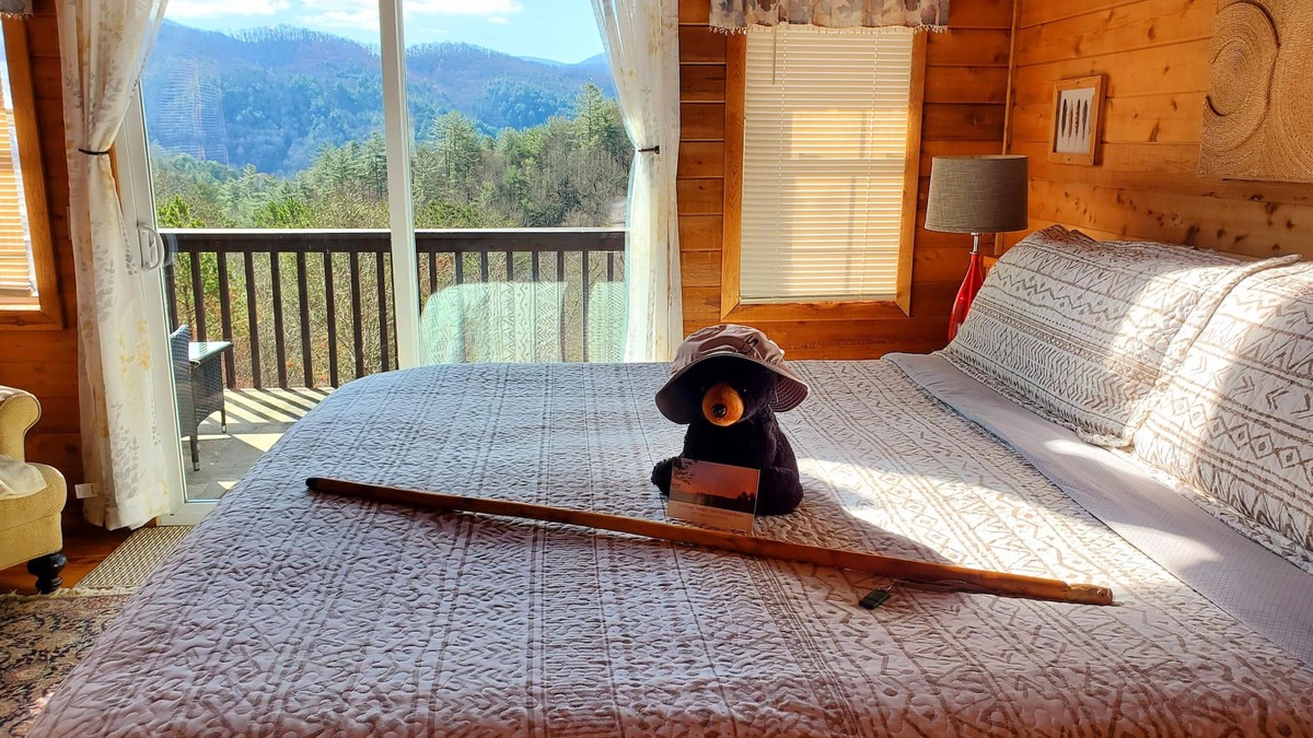 Blue Ridge Cabin | Last minute discounts. Cabin with Hot Tub & King Bed
