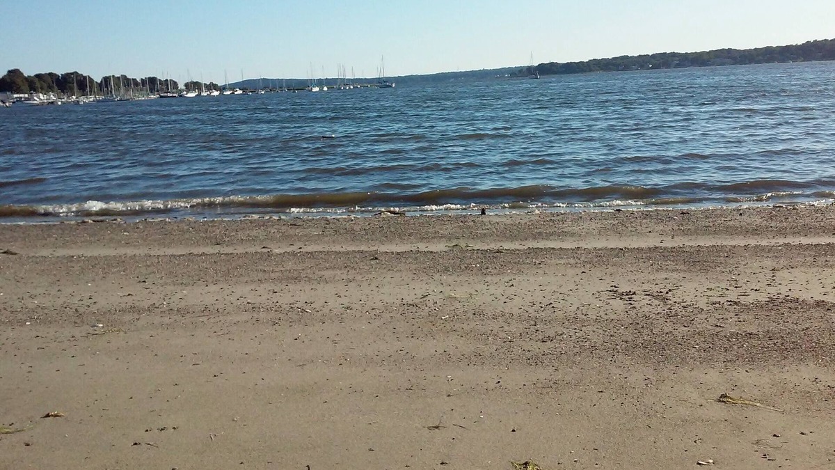 Swansea House | Last Minute Getaway, Walk Acoss the Street to the Beach! Close to everything!