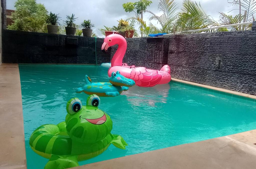 Udaipur Villa | Lavanya Villa with private pool Udaipur