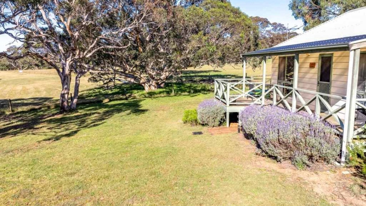 Middleton House | Lavender 63 Burgar Rd Middleton