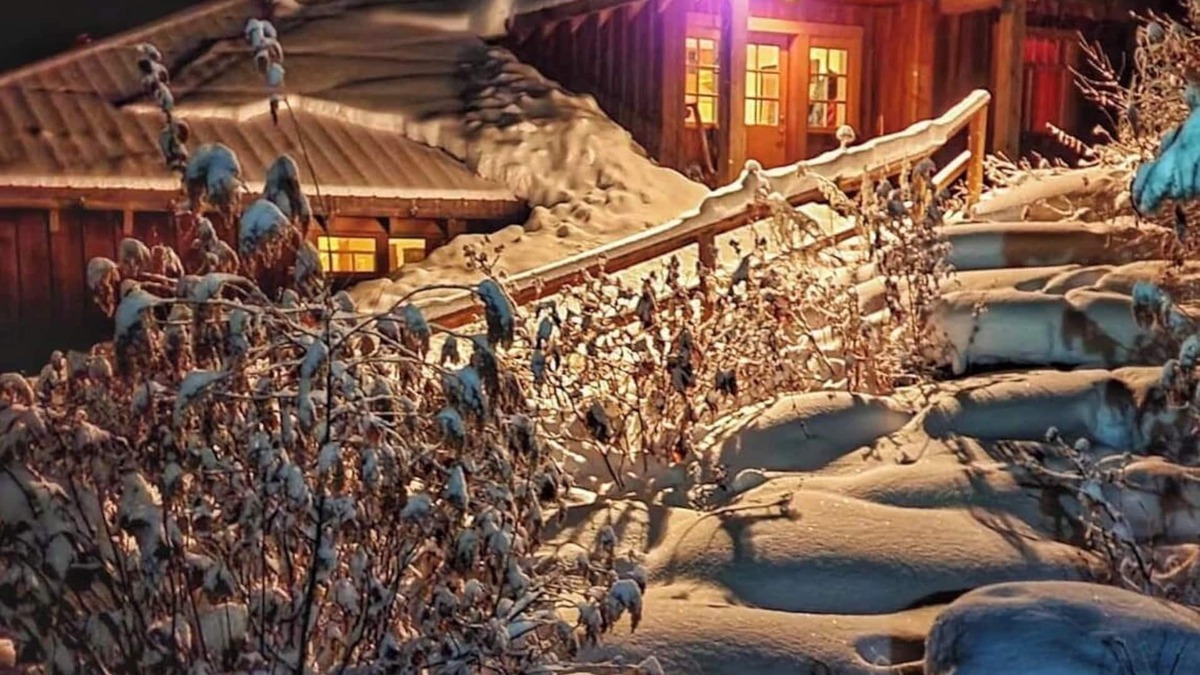 Salmon Arm Cabin | Lavender Cabin + Ski + Sauna + Group friendly in the Larch Hills + Salmon Arm