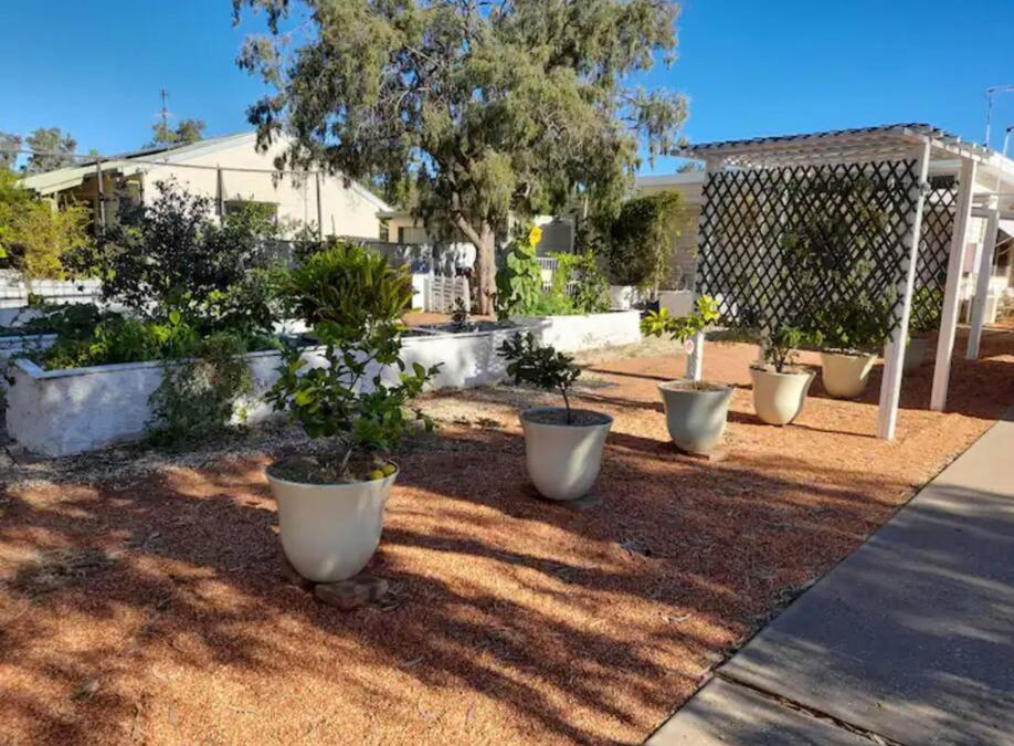 Lightning Ridge House | Lavender Cottage - At home in Lightning Ridge