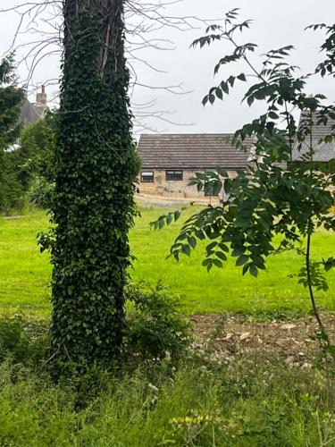 Fotheringhay House | Lavender Cottage