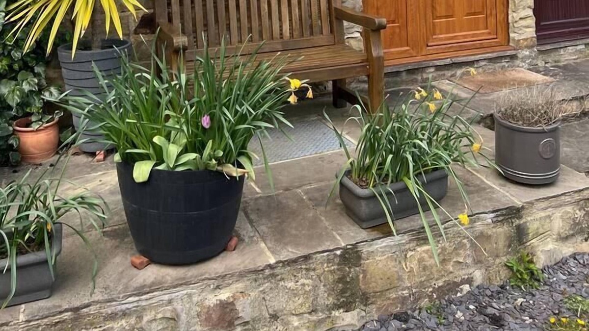 Grewelthorpe Cottage | Lavender Cottage Grewelthorpe Nr Masham Ripon