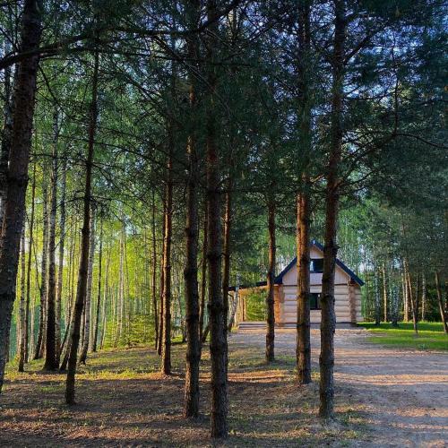 gmina Rutka-Tartak House | Leśne Klimaty
