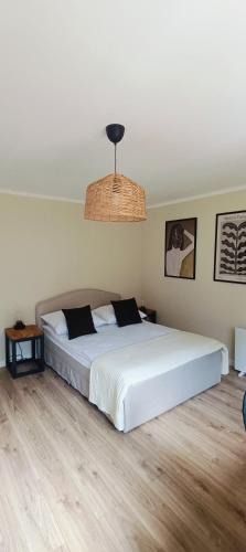 Jedlina-Zdroj Apartment | Leśne Szlaki AP Apartment's