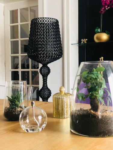 Mutzig Bed & Breakfast | Le 8