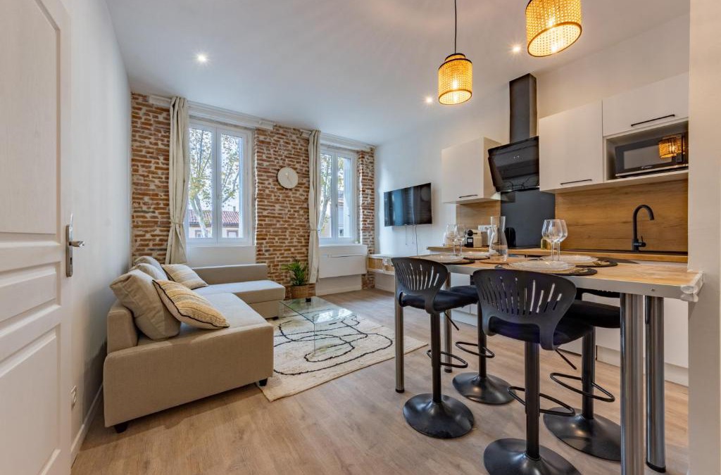 Saint - Agne Apartment | Le bel appart Toulouse climatisation
