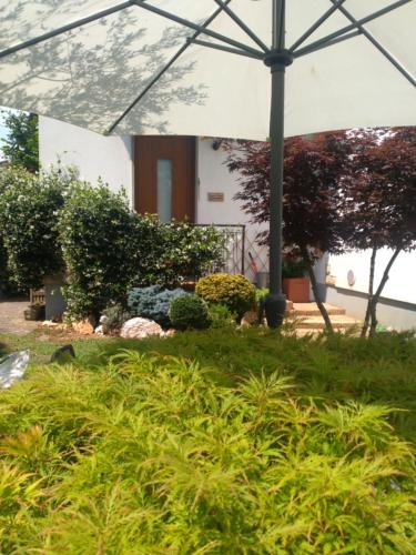 Zanica Bed & Breakfast | Le Betulle