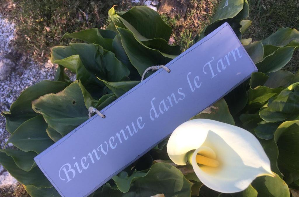 Brens House | Le BrenSol