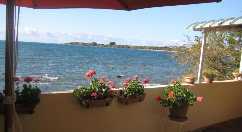 Tombeau Bay House | Le cactus guesthouse