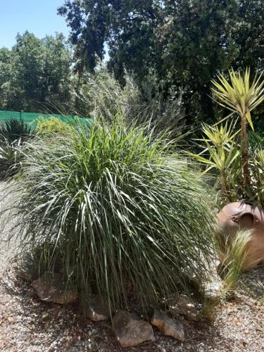 Russan Bed & Breakfast | Le calme de la garrigue
