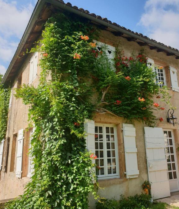 Charnay-les-Macon Bed & Breakfast | LE CARGE D’ARLAY