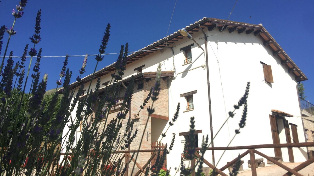 Montemonaco Other | Le Castellare Agriturismo 3 bedrooms apt in the Sibillini National Park