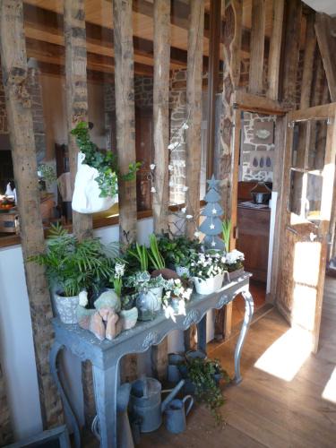 Dinge Bed & Breakfast | Le Clos des Anges