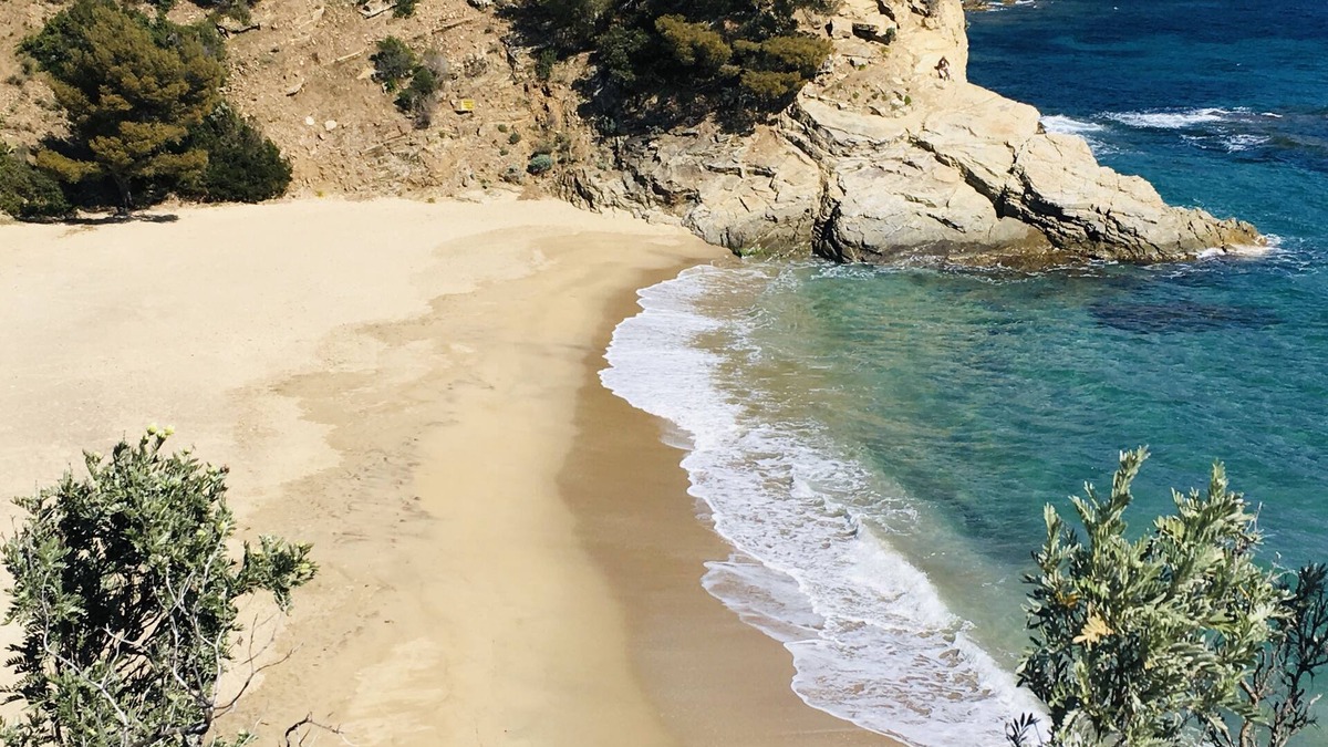 Cavalaire-sur-Mer House | Le clos des sept palmiers