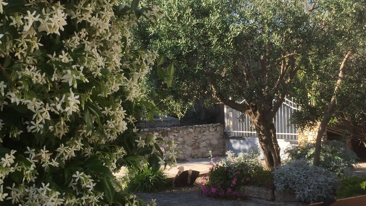 13th Arrondissement Bed & Breakfast | Le Clos du Jas