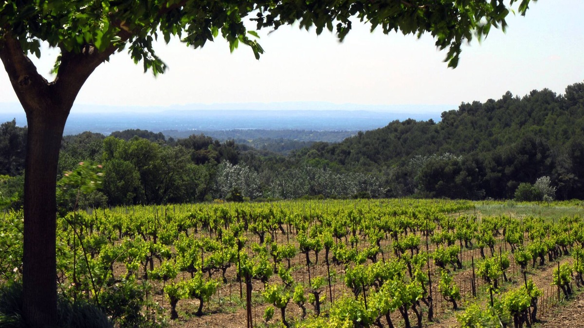 Vacqueyras House | LE CLOS Gîte at the foot of the Dentelles de Montmirail