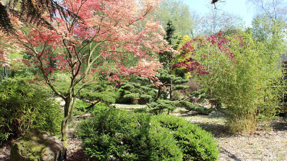 Mauron House | Le Clos Penguily rent 2 houses in a closed wooded park