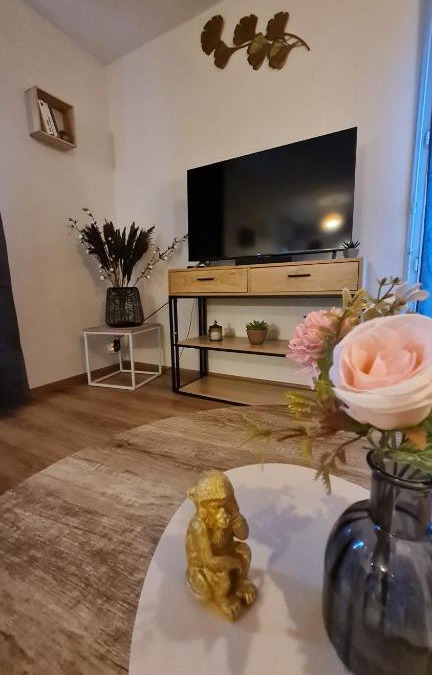 Oyonnax Apartment | Le Cosy Home