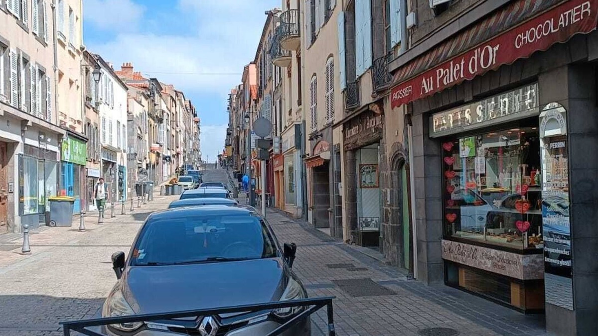 Clermont-Ferrand Apartment | Le Cosy Montferrandais