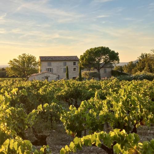 Saint-Didier House | Le Cottage du Chat Blanc