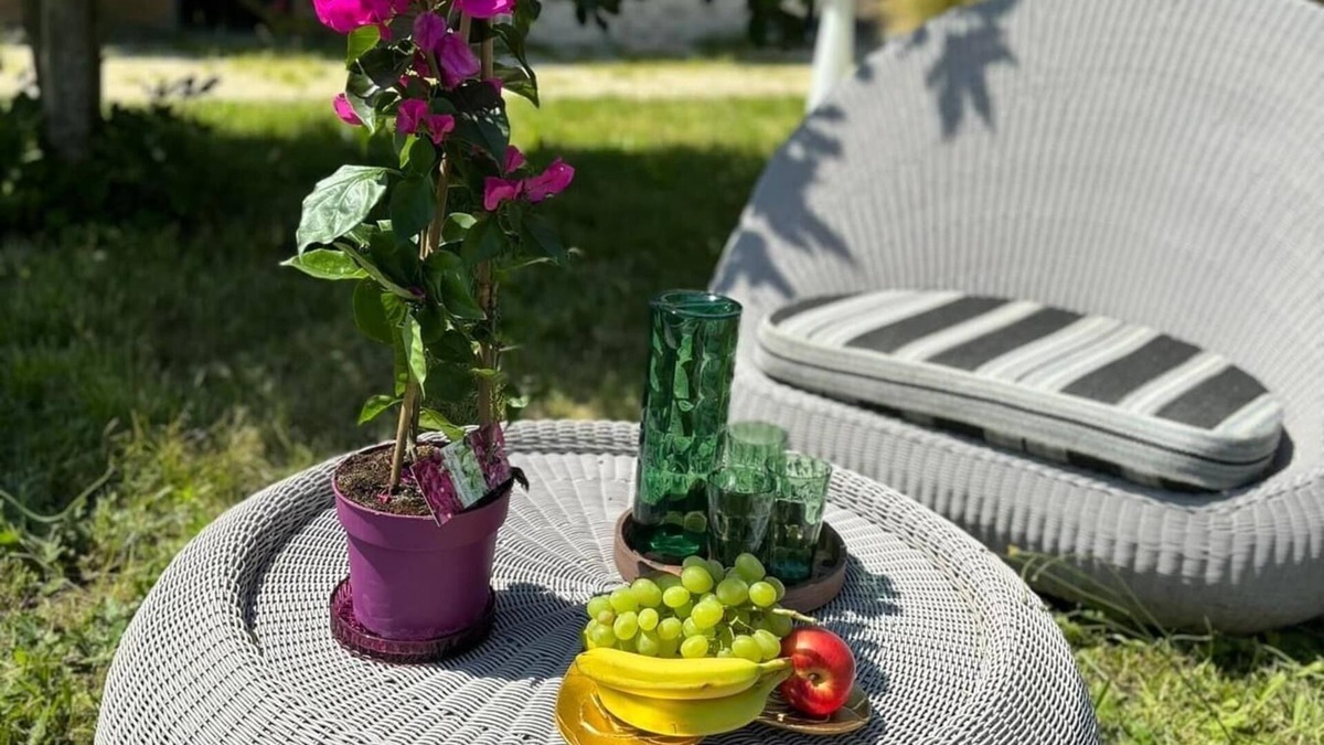Darvoy Bed & Breakfast | Le domaine de Darvoy