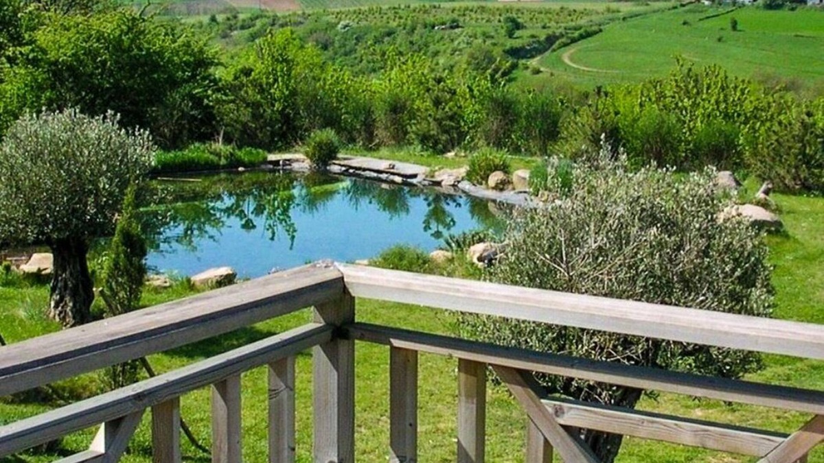 Tartara House | Le Domaine des Vignes, heated swimming pool in a large wooded park
