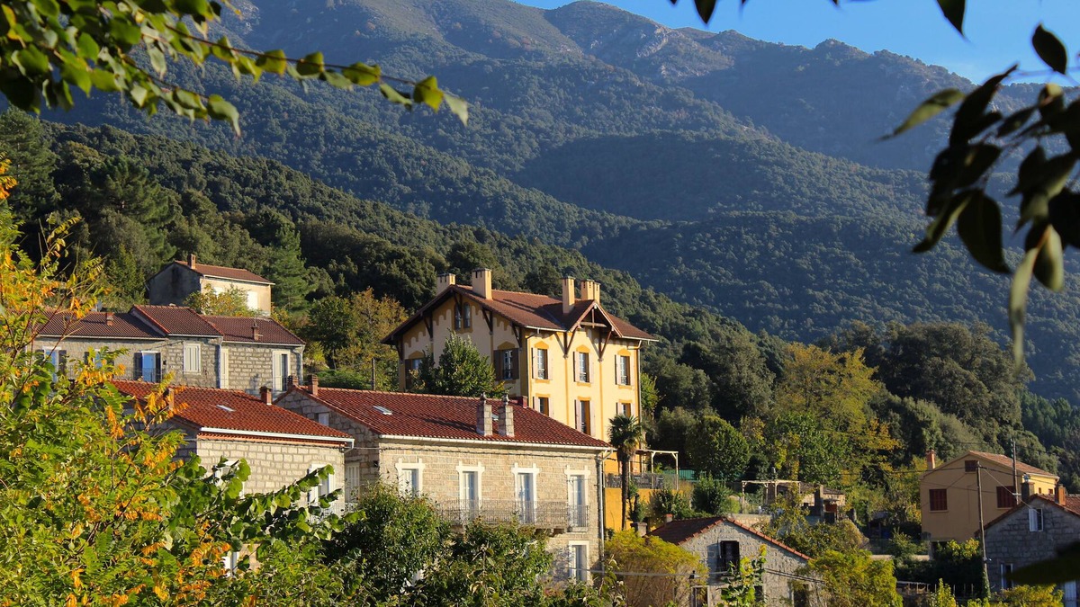 Olivese House | Le Gîte du Chalet Pietri