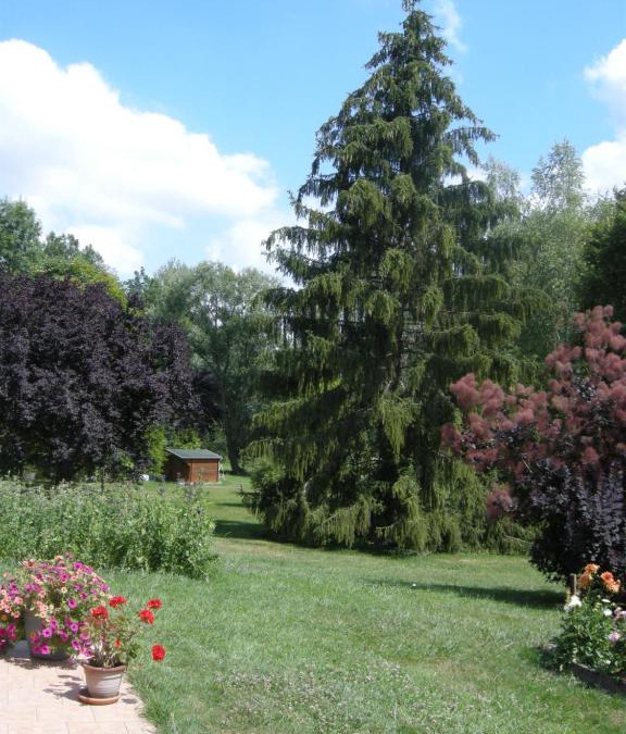 Daillancourt Bed & Breakfast | Le Grand Pré