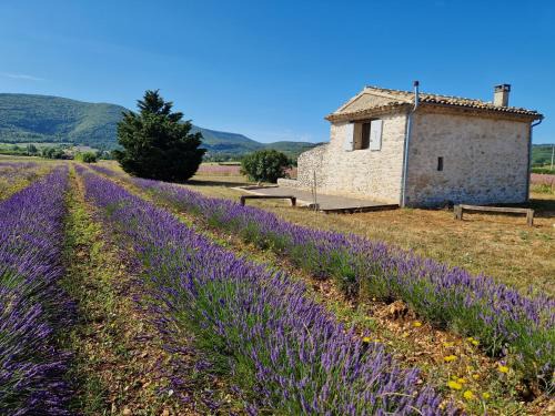 Sault House | Le grangeon des Hermas
