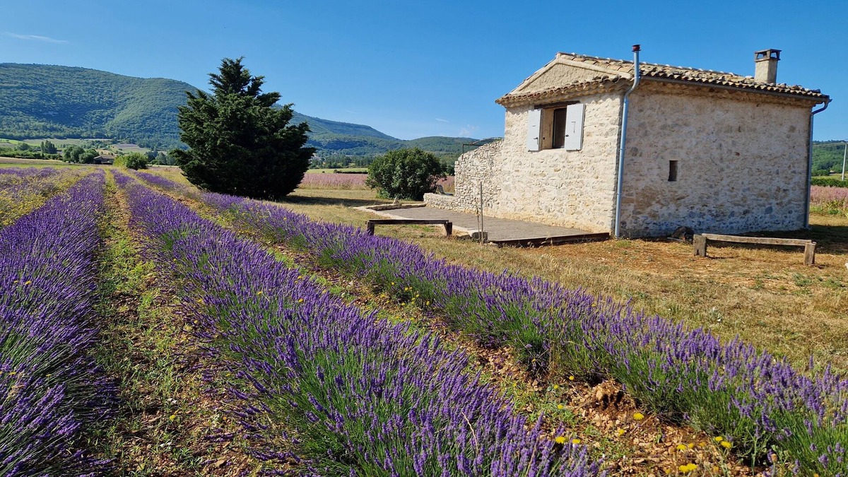 Sault House | Le Grangeon des Hermas an exceptional, peaceful spot on the Sault plain
