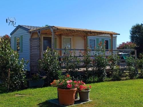 Ventiseri Apartment | Le jardin de Domi