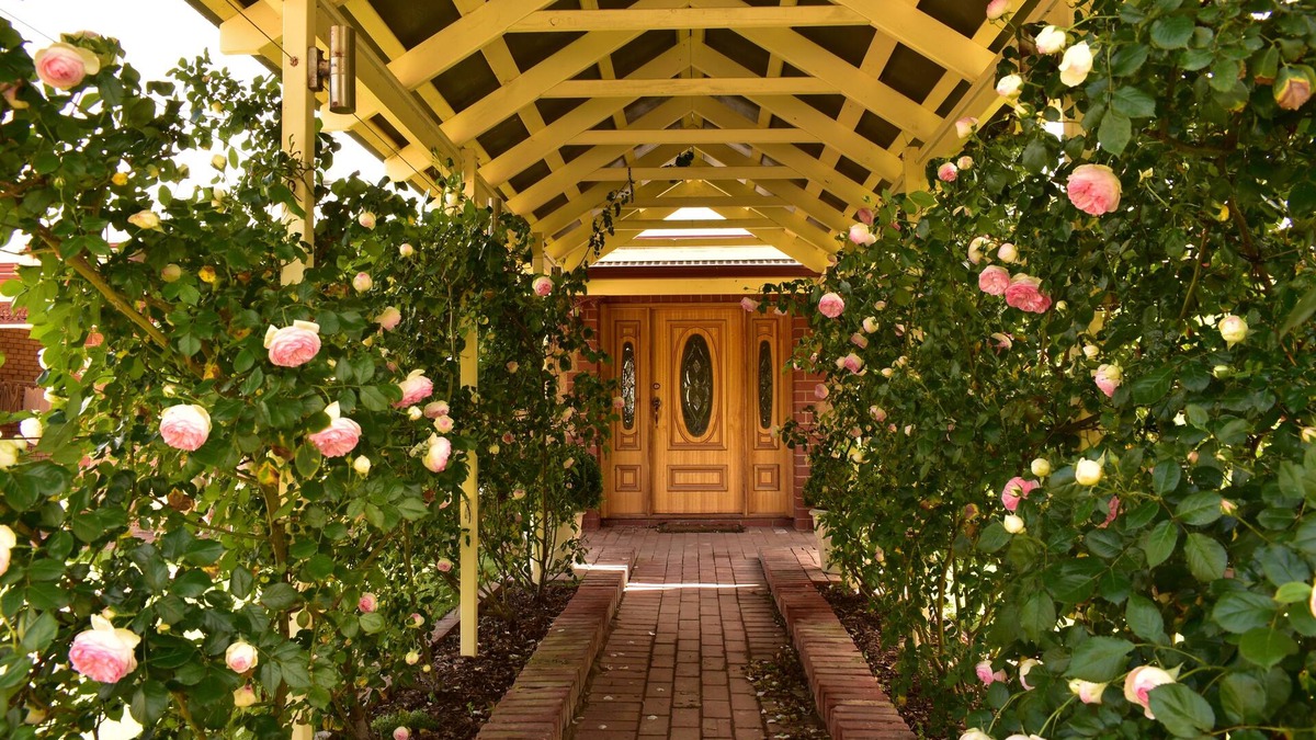 Morphett Vale House | LE JARDIN DE FLEURS COTTAGE