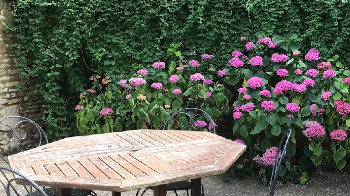Champigny-sur-Veude Bed & Breakfast | Le Logis de la Pataudière
