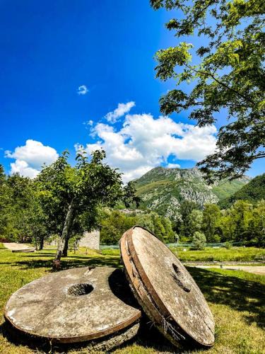 Villa Collemandina House | Le Macine