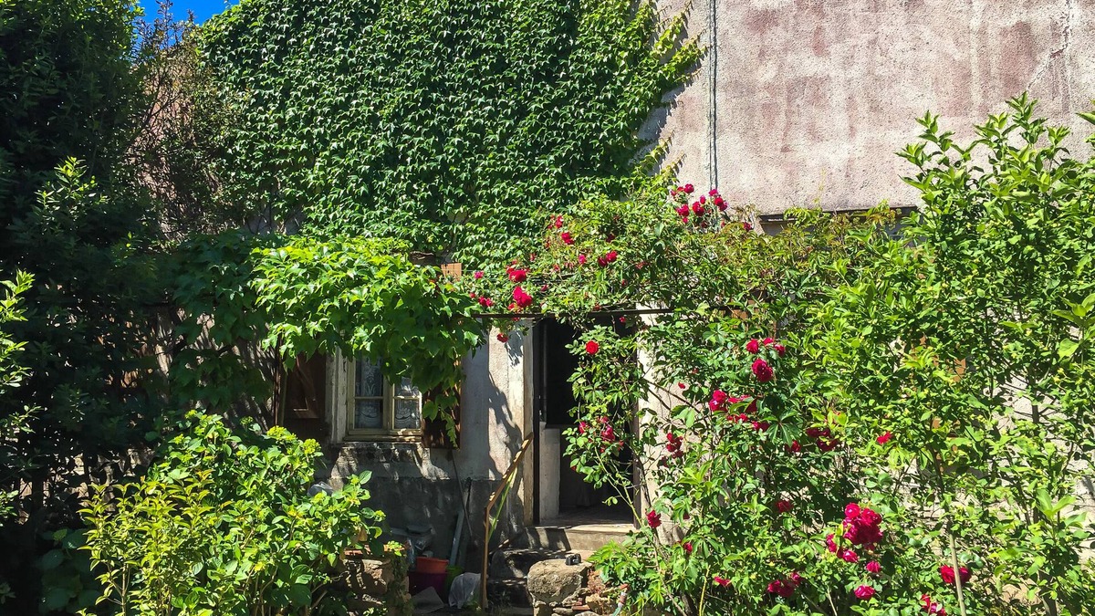 Le Bousquet-d'Orb House | Le Mas du Figuier, vacation home