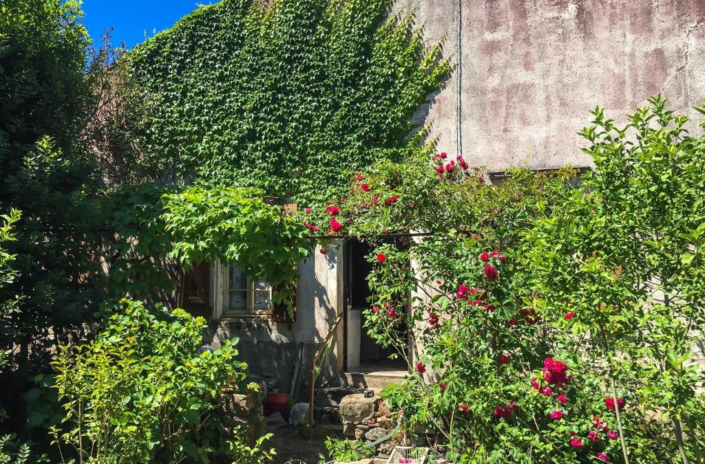 Le Bousquet-d'Orb Apartment | Le Mas du figuier, Maison de vacances
