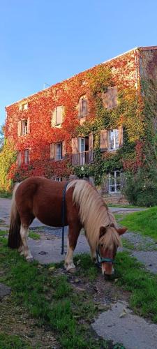 Nochize Bed & Breakfast | Le moulin de vaux