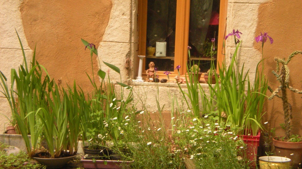 Vic-Fezensac Bed & Breakfast | Le Moulin des Marionnettes