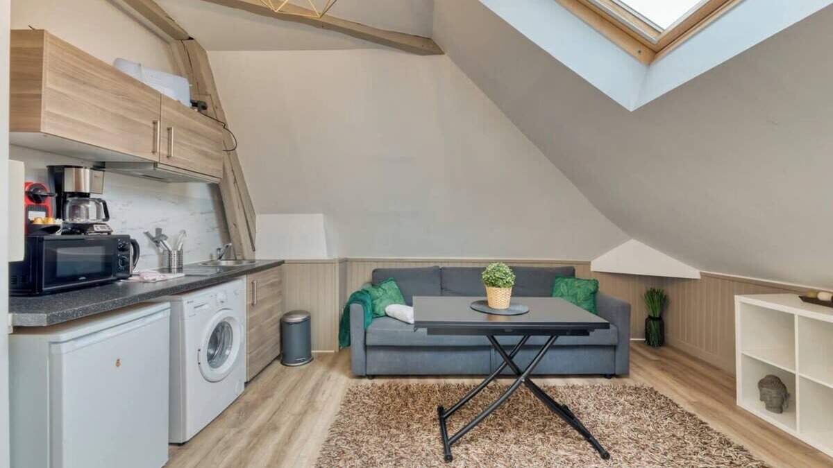 Quartier Pasteur Apartment | Le Nature * un joli F2 * au cœur de Rouen !