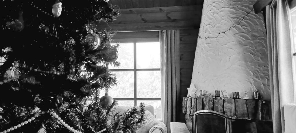 Bernister House | Le Numéro 12 - Chalet à Francorchamps