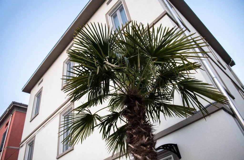 Parma House | Le PALME