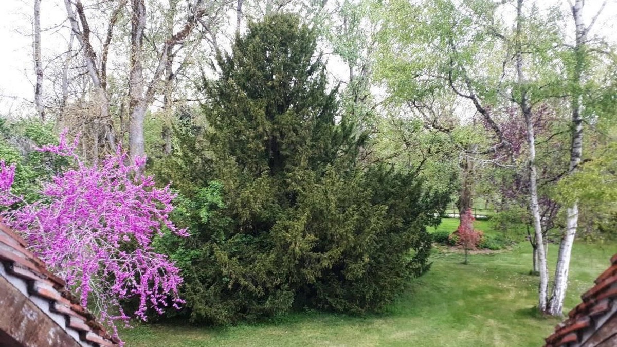 Brion Bed & Breakfast | Le Parc des Aubiers