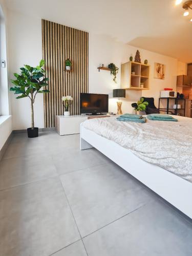 Saint-Louis Apartment | Le Petit Eden - Bâle - Aéroport